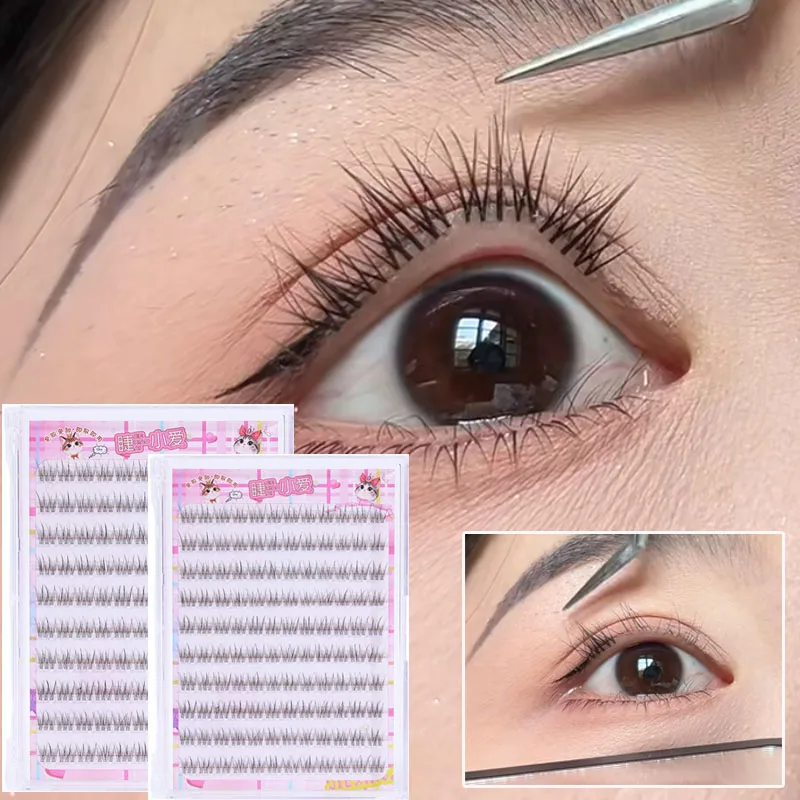ذيل السمكة الطبيعية العنقودية  - مراجعة Eyelash Extension No 8 وسعره